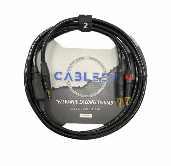 Plug 3.5 a doble RCA